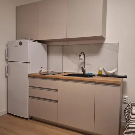 Apartment Branka Zablace